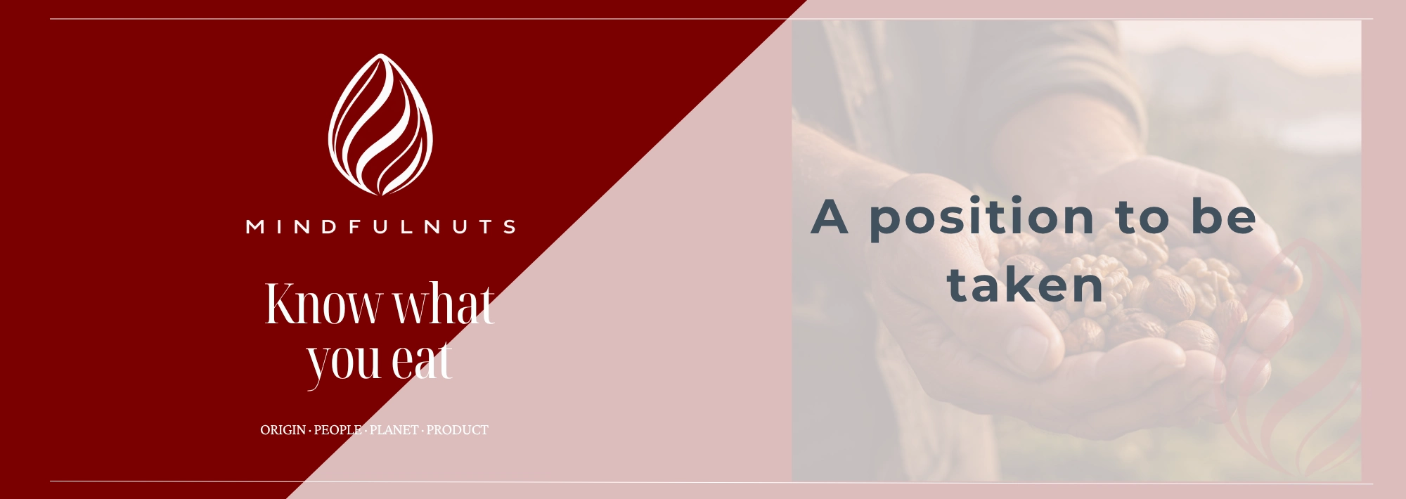 Mindfulnuts concept